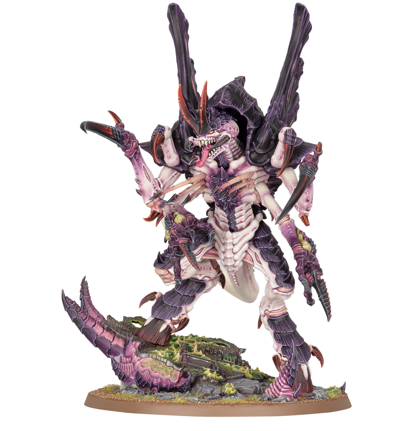 Asimilador Norn
