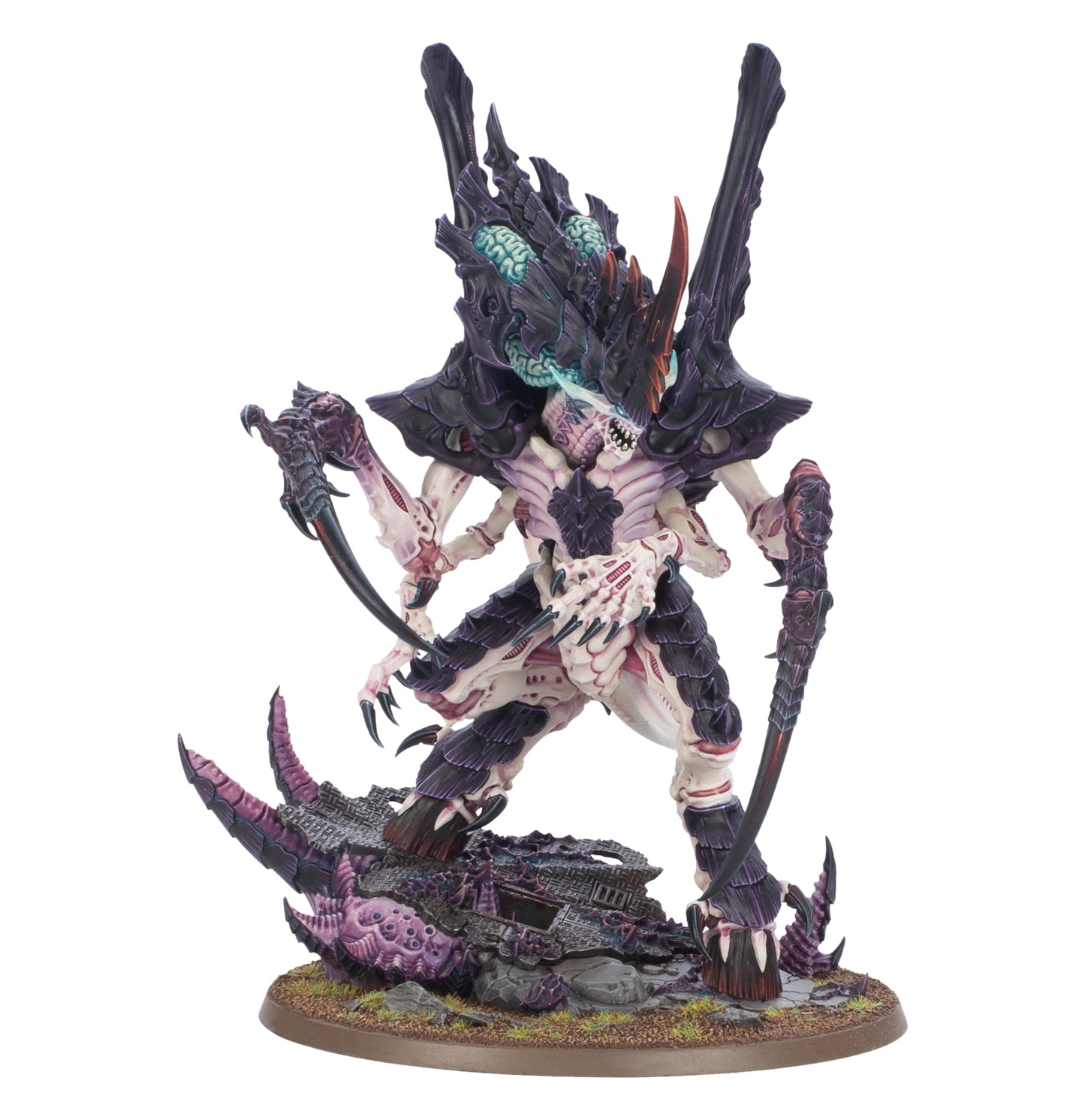 Asimilador Norn