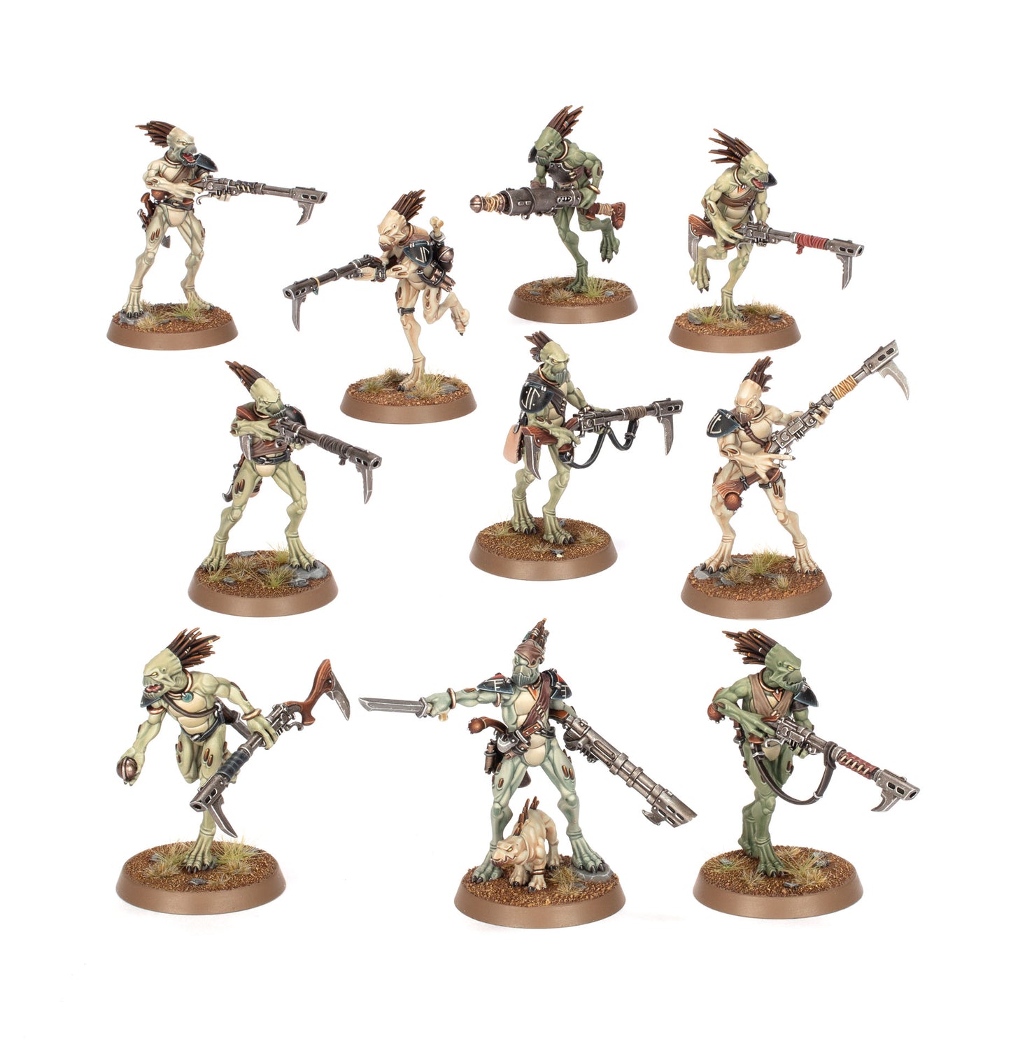 Carnívoros Kroot
