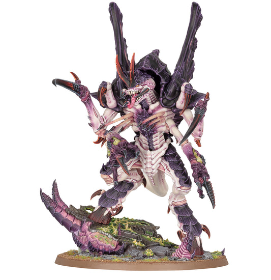 Asimilador Norn
