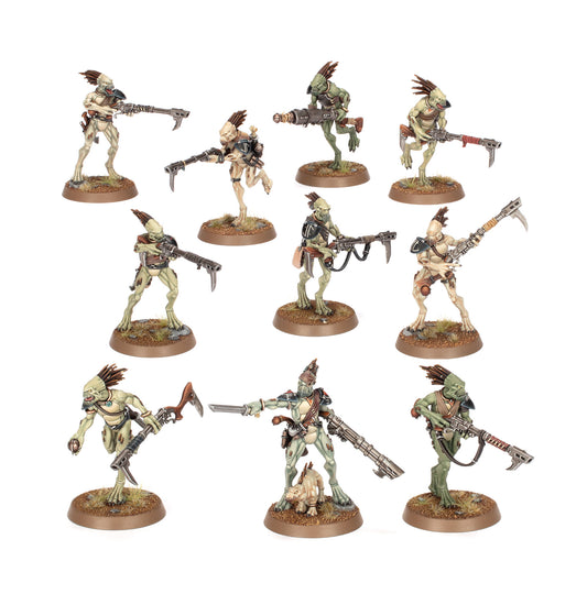 Carnívoros Kroot