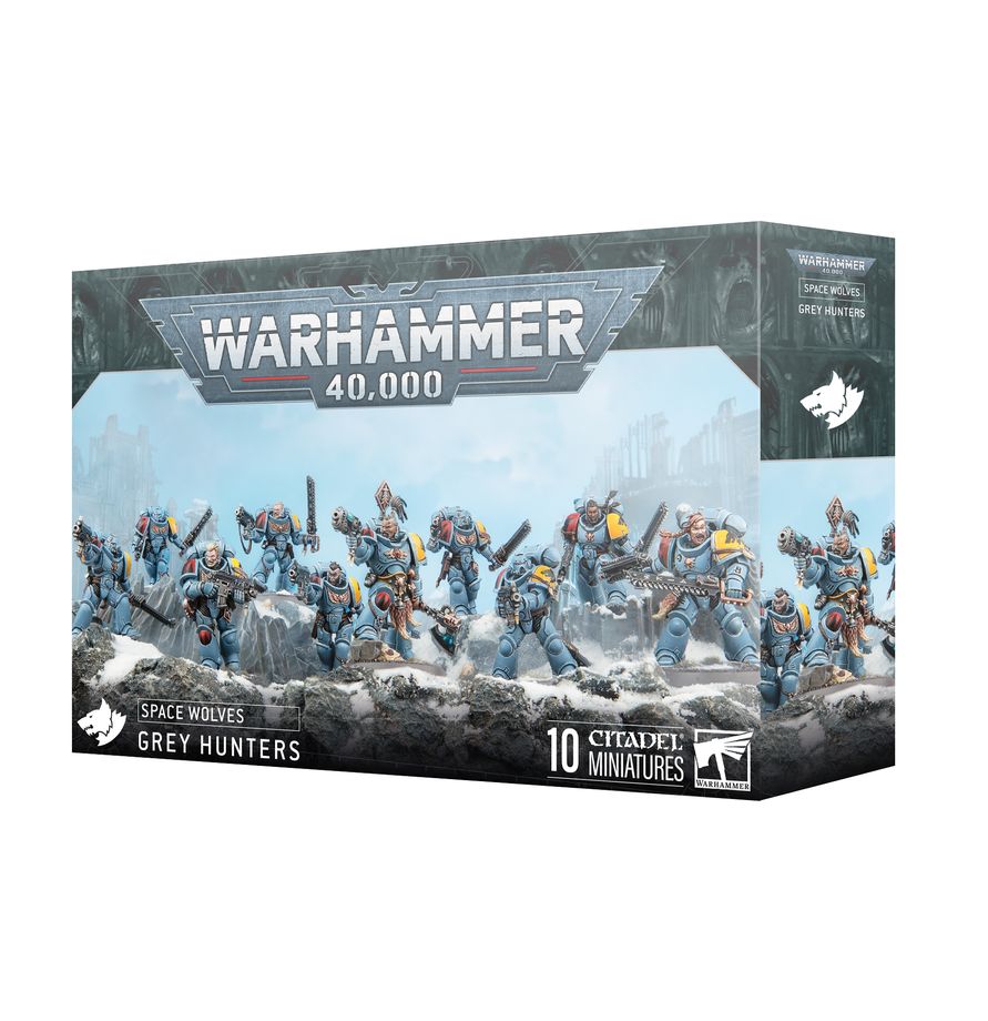 Caja de Cazadores Grises de Space Wolves