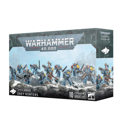Caja de Cazadores Grises de Space Wolves