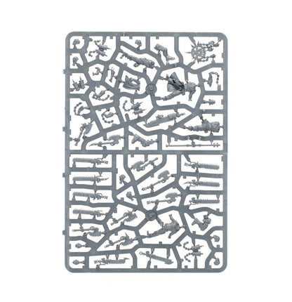 Segunda matriz de Chakales para World Eaters de Warhammer 40K
